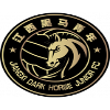Wenzhou Professional